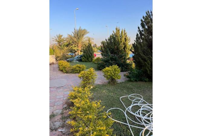 7625168 - صورة العقار 3