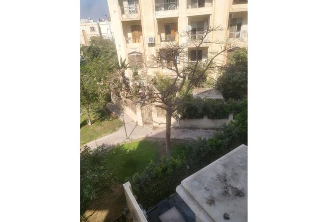 7624686 - صورة العقار 2