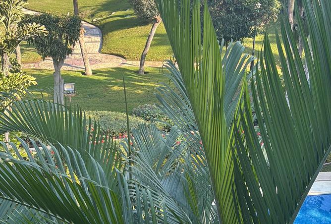 7611222 - Property Image 3