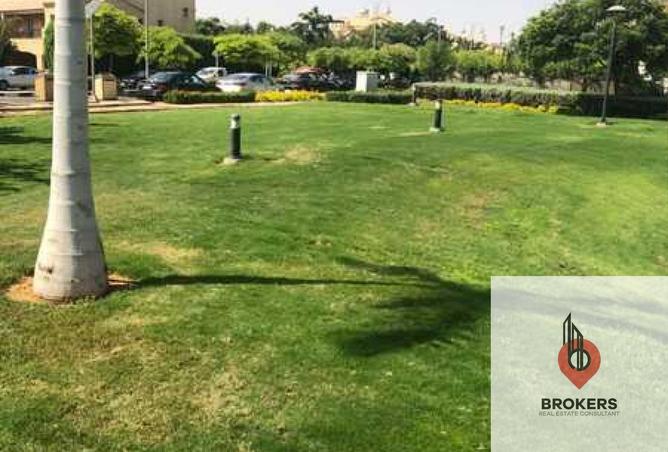 8313620 - صورة العقار 3