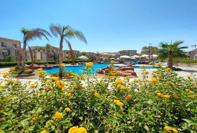 68785216 - صورة العقار 3