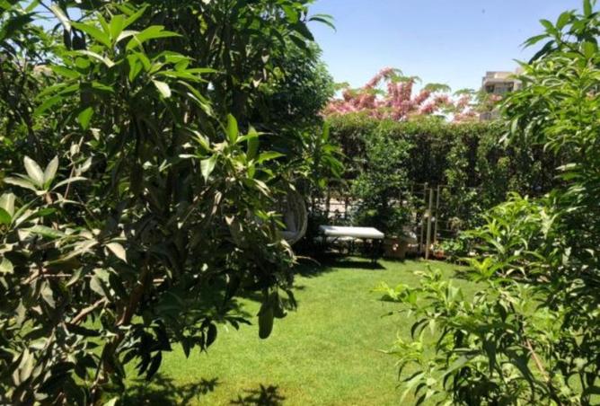 7618868 - صورة العقار 3