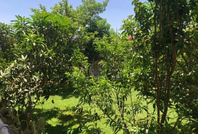 7618868 - صورة العقار 2