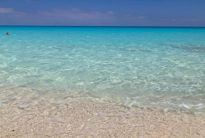 8231097 - صورة العقار 2