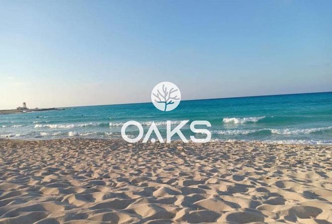 8150778 - الصورة الرئيسية للعقار