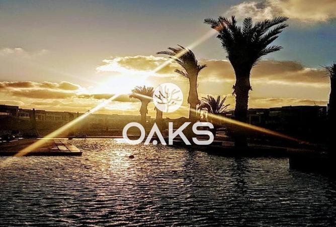 8150743 - صورة العقار 2