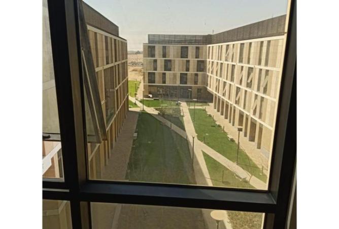 8387874 - صورة العقار 2