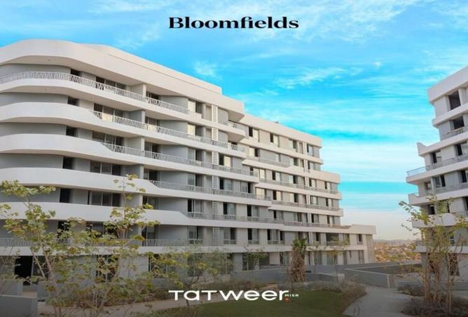 7644218 - Property Image 2