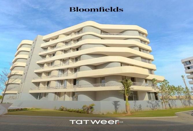 7644218 - Property Image 3