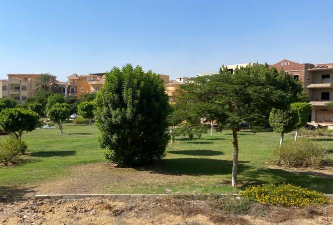 7629538 - صورة العقار 2