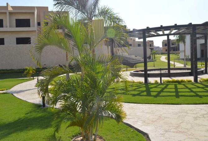 7633946 - صورة العقار 3