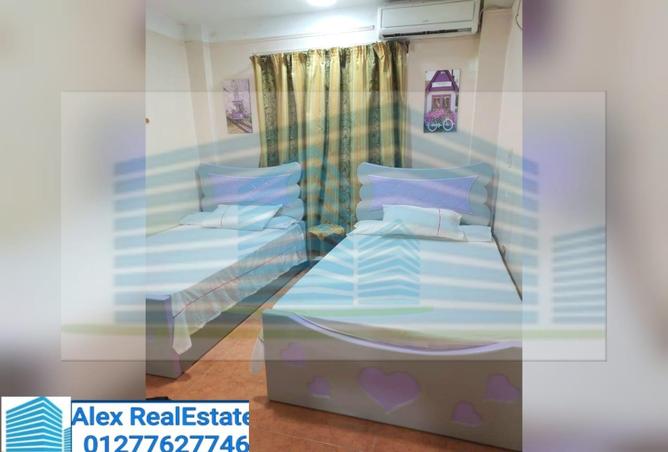 7636393 - Property Image 2