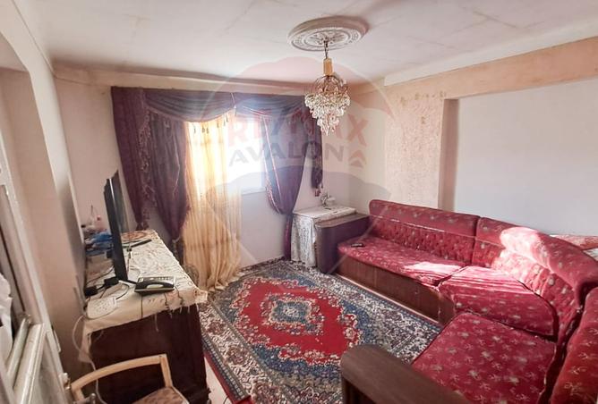 7637002 - صورة العقار 3