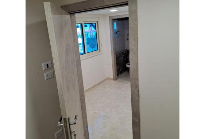 7655385 - صورة العقار 3