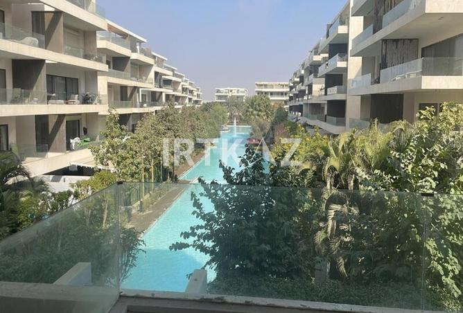 7981437 - صورة العقار 3