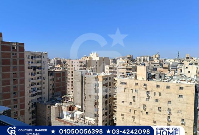 7642317 - صورة العقار 2