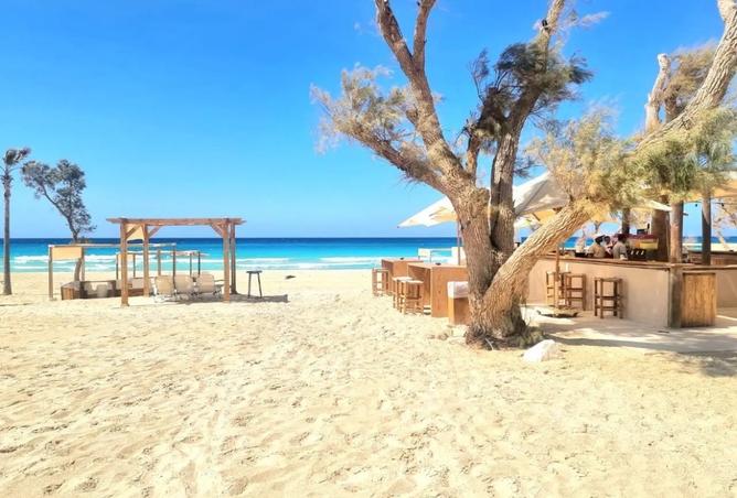 67995246 - Property Main Image