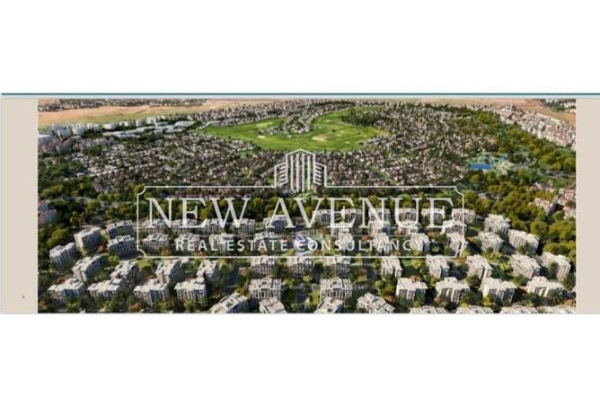 8252225 - صورة العقار 3