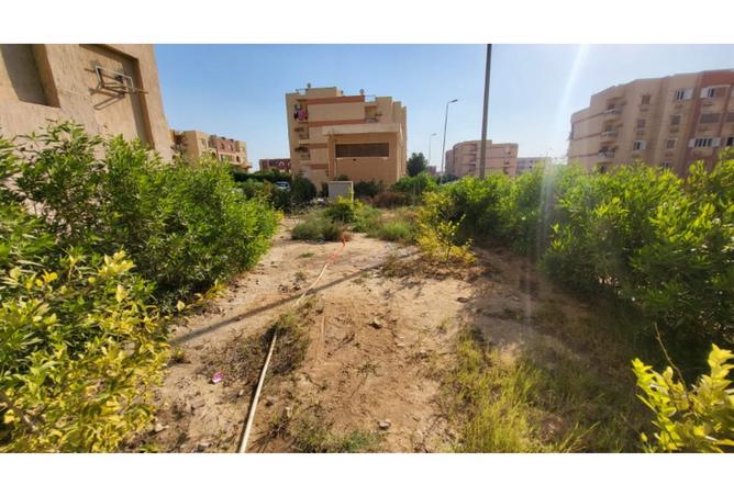 7651538 - الصورة الرئيسية للعقار