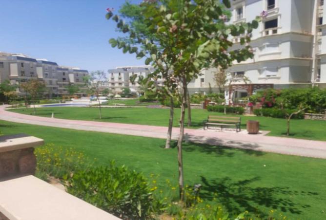 8413536 - Property Image 3