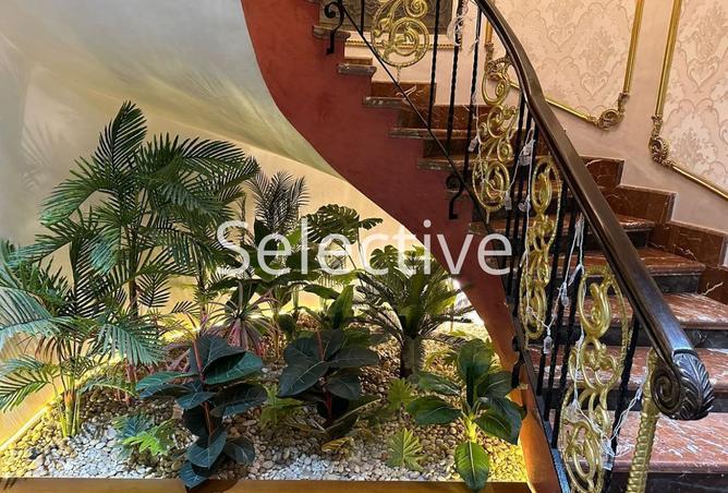 7916922 - Property Image 3