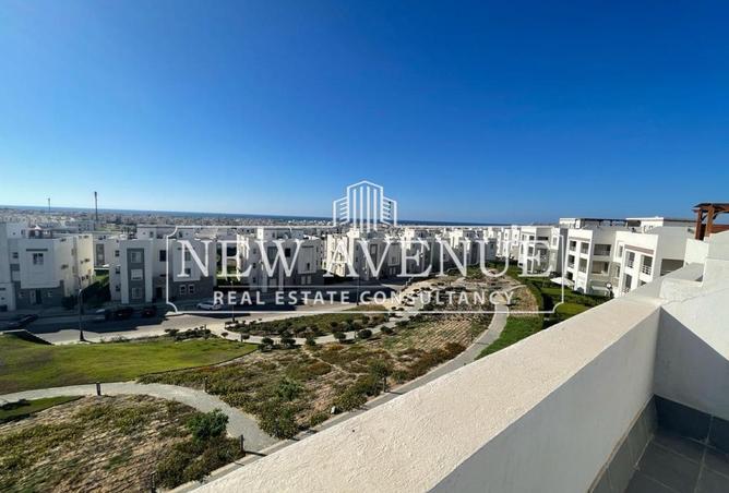 8292258 - Property Image 3