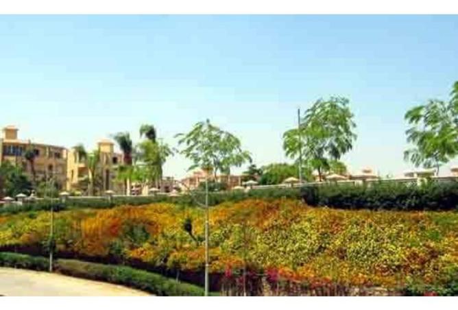 7655168 - صورة العقار 2