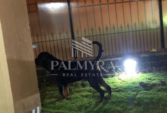 7655483 - صورة العقار 3