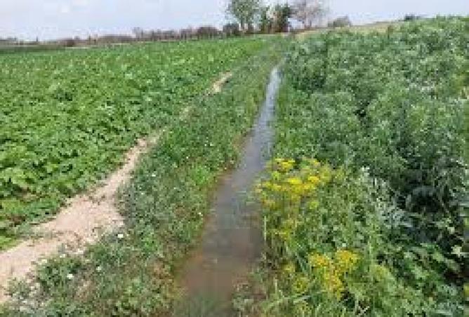 7666570 - صورة العقار 2