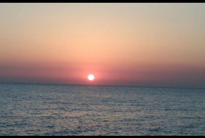 8088300 - Property Image 3