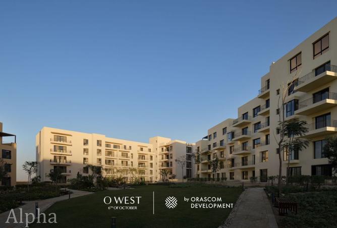 7667810 - صورة العقار 2