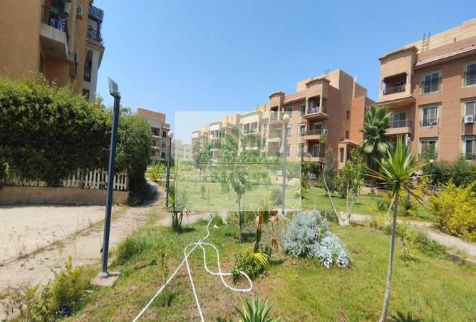 7665936 - صورة العقار 3