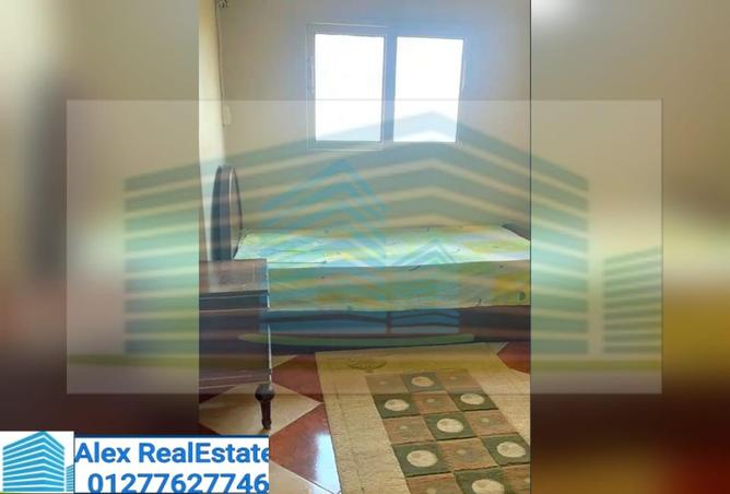 7665295 - Property Image 3