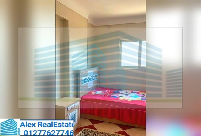 7665295 - Property Image 2