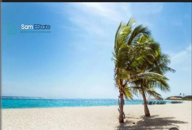 7667188 - صورة العقار 2