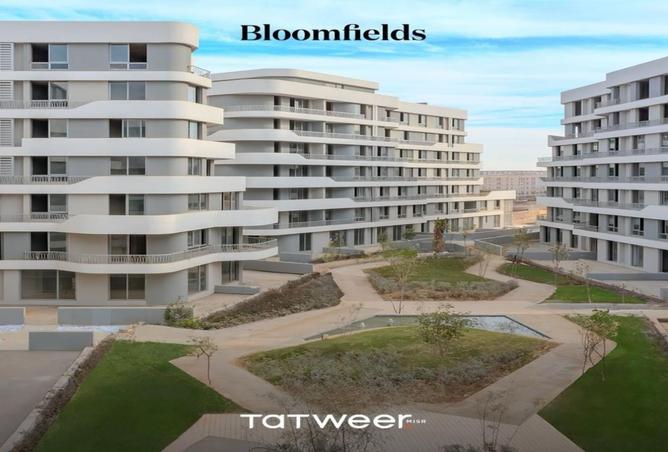 7667922 - الصورة الرئيسية للعقار