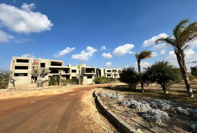 7667827 - صورة العقار 3