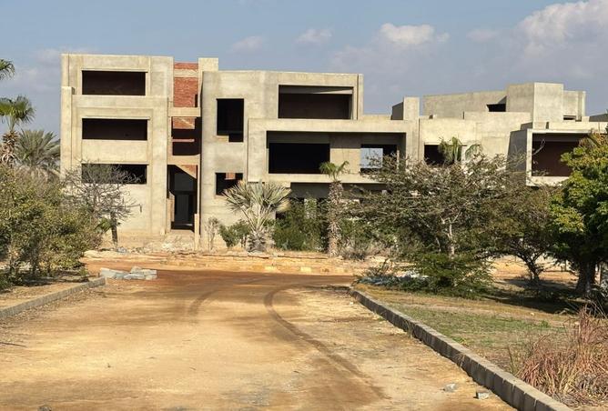 7667827 - صورة العقار 2