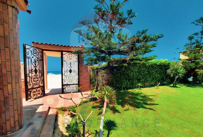 7674437 - الصورة الرئيسية للعقار