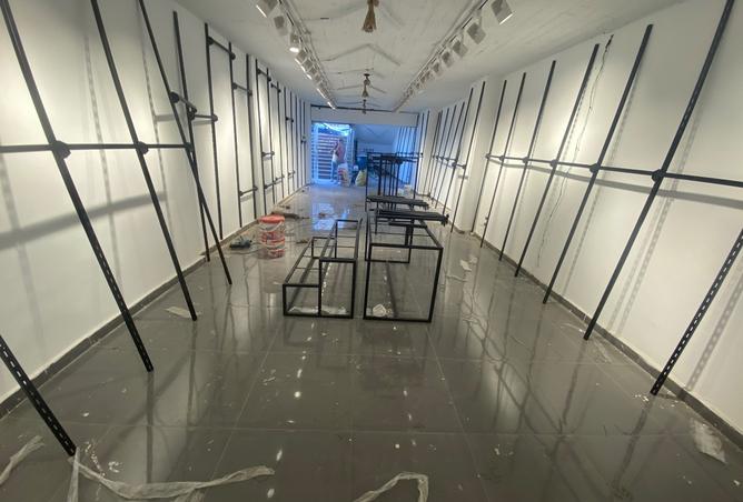 8198180 - Property Image 2