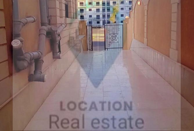 54231030 - Property Image 3