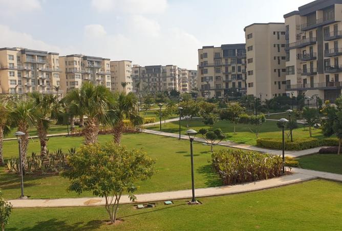 78662965 - Property Main Image