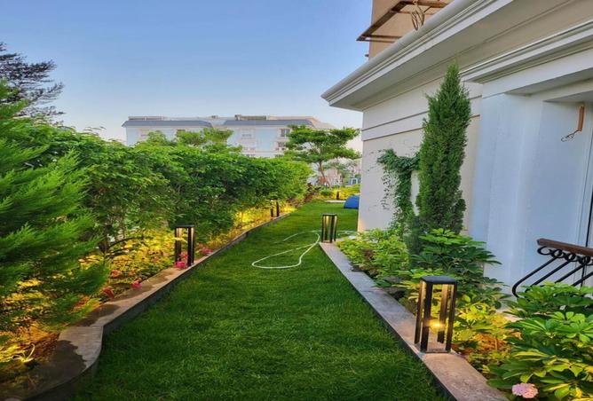 8337242 - صورة العقار 3