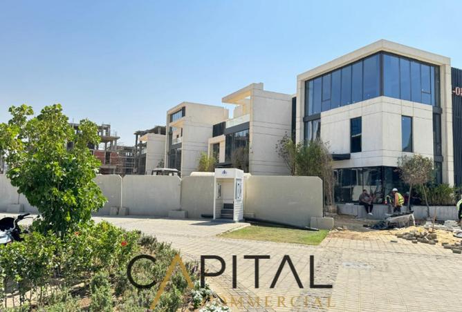 8245886 - Property Image 3