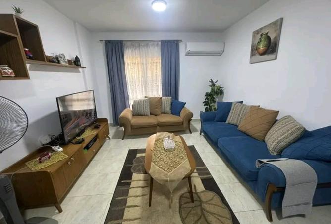 8362760 - Property Image 3