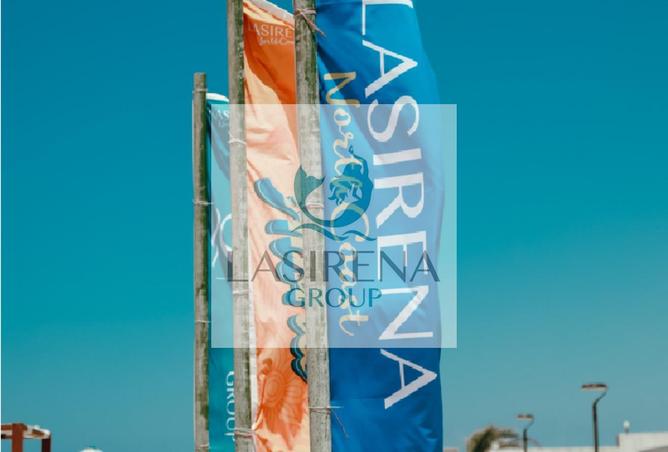 7686784 - صورة العقار 2