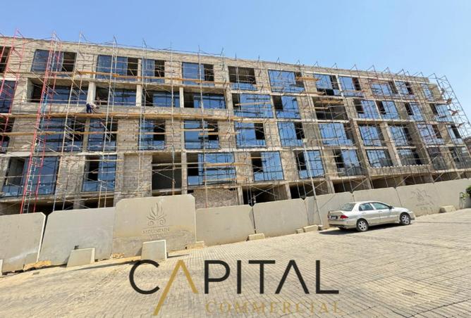 8344942 - Property Image 3