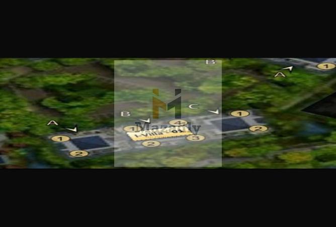 8377121 - Property Image 3