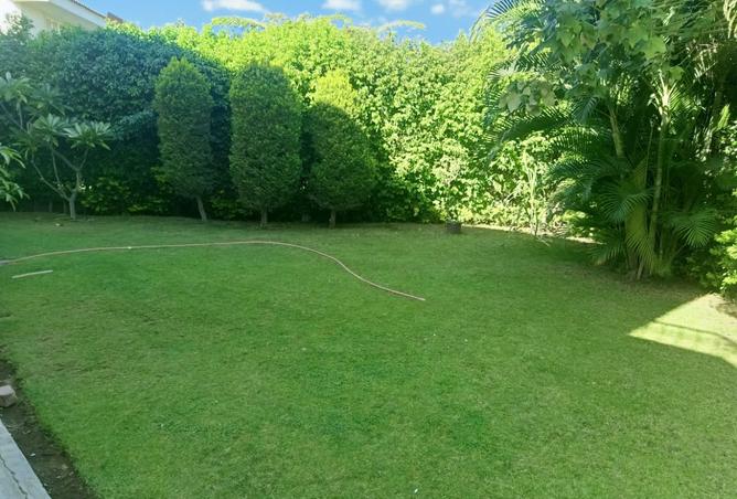 7695066 - صورة العقار 2