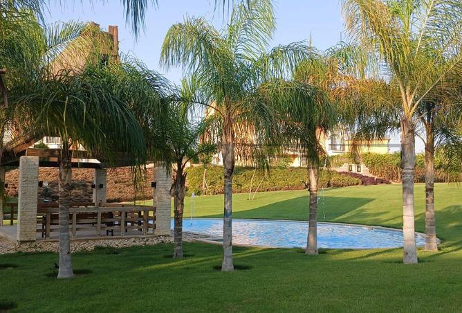 66167301 - صورة العقار 3